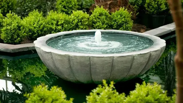 لماذا ينبغي عليك اختيار شركة العملاق بدلاً من الشركات الأخرى؟