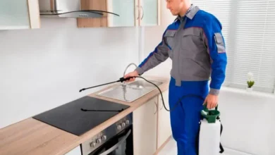 شركة مكافحة صراصير في العين