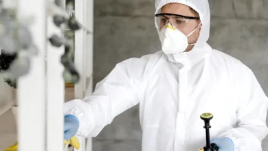 مكافحة الحشرات في أبوظبي