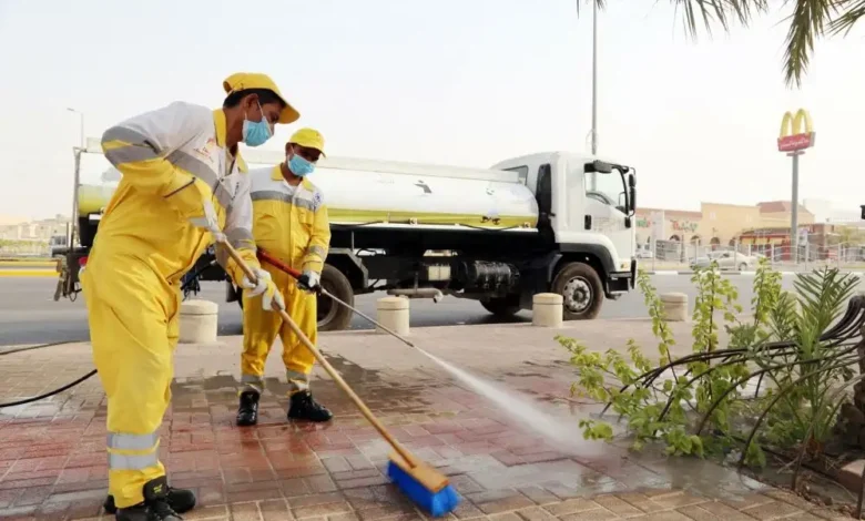 مكافحه الرمة في رأس الخيمة