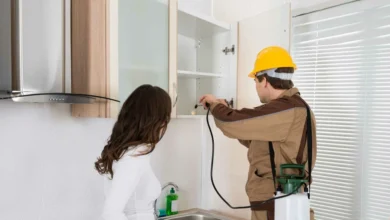 مكافحة الحشرات في الشارقة