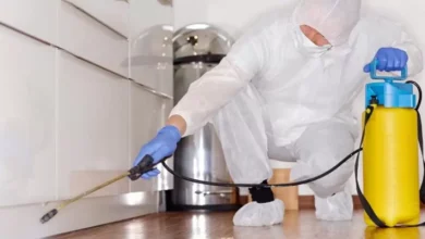 مكافحة الرمة في ام القيوين