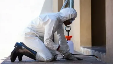 مكافحة الرمة في دبي